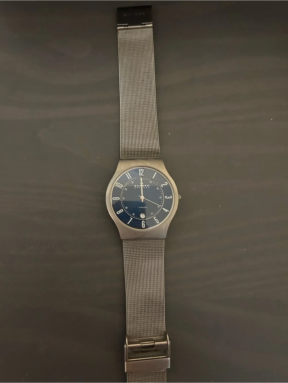 Skagen Men's Navy Blue Dial Titanium-Tone Mesh Watch